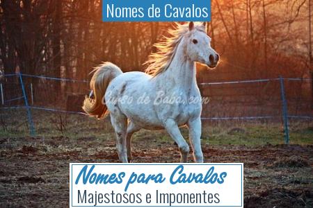 Nomes de Cavalos - Nomes para Cavalos