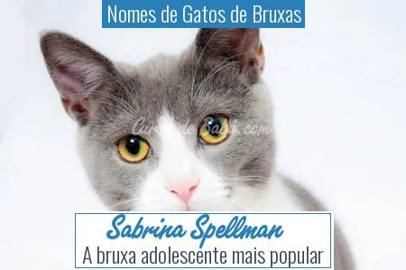 Nomes de Gatos de Bruxas - Sabrina Spellman