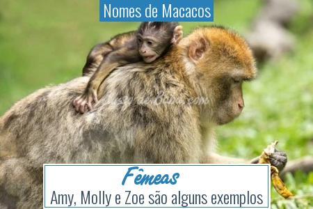 Nomes de Macacos - FÃªmeas