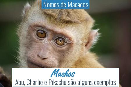 Nomes de Macacos - Machos