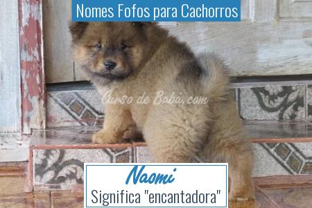 Nomes Fofos para Cachorros - Naomi