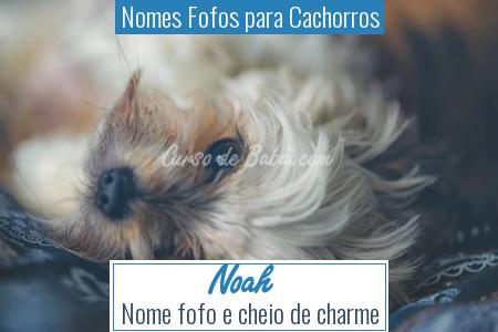 Nomes Fofos para Cachorros - Noah