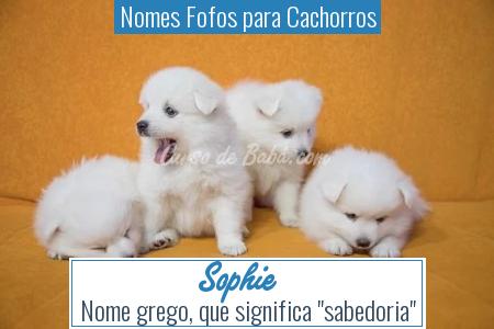 Nomes Fofos para Cachorros - Sophie