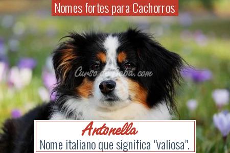 Nomes fortes para Cachorros - Antonella