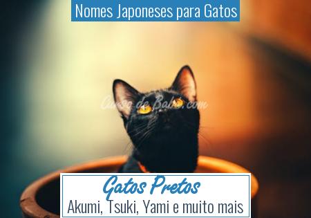 Nomes Japoneses para Gatos - Gatos Pretos