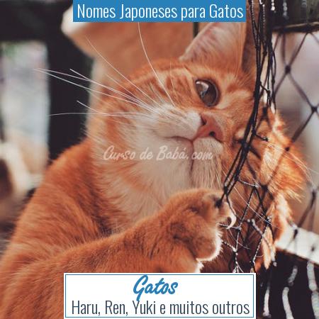 Nomes Japoneses para Gatos - Gatos