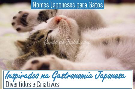 Nomes Japoneses para Gatos - Inspirados na Gastronomia Japonesa