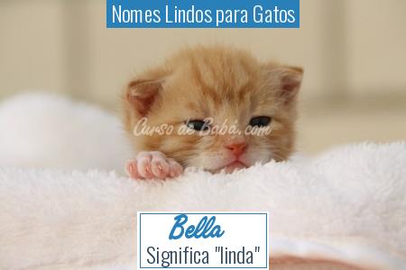 Nomes Lindos para Gatos - Bella