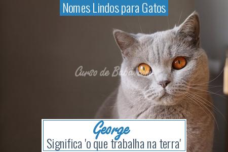 Nomes Lindos para Gatos - George