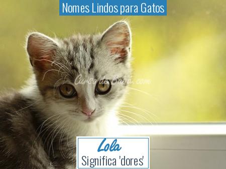 Nomes Lindos para Gatos - Lola