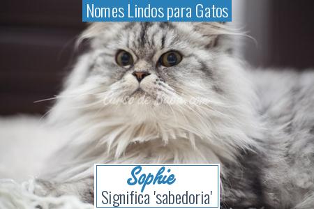 Nomes Lindos para Gatos - Sophie