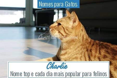 Nomes para Gatos  - Charlie