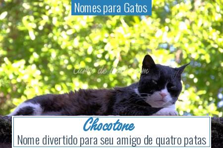 Nomes para Gatos  - Chocotone