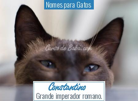 Nomes para Gatos  - Constantino
