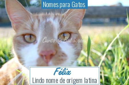 Nomes para Gatos  - FÃ©lix
