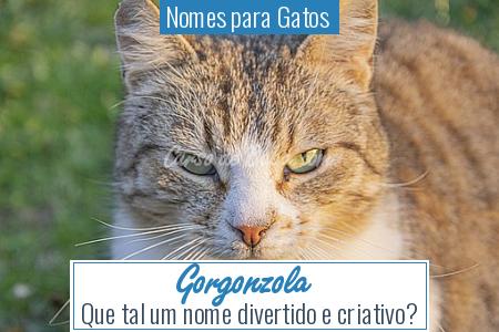 Nomes para Gatos  - Gorgonzola