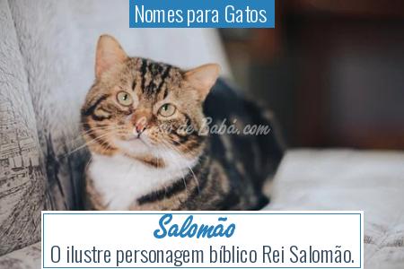 Nomes para Gatos  - SalomÃ£o