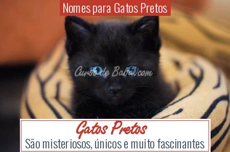 Nomes para Gatos Pretos - Gatos Pretos