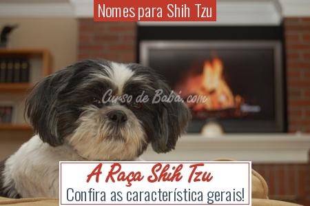 Nomes para Shih Tzu - A RaÃÂ§a Shih Tzu
