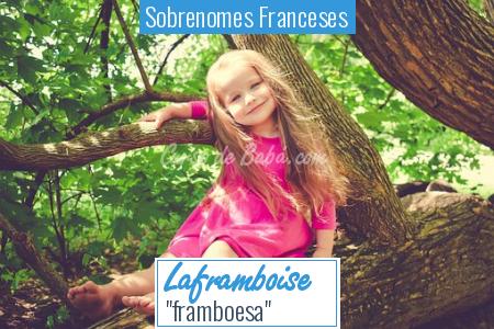 Sobrenomes Franceses - Laframboise