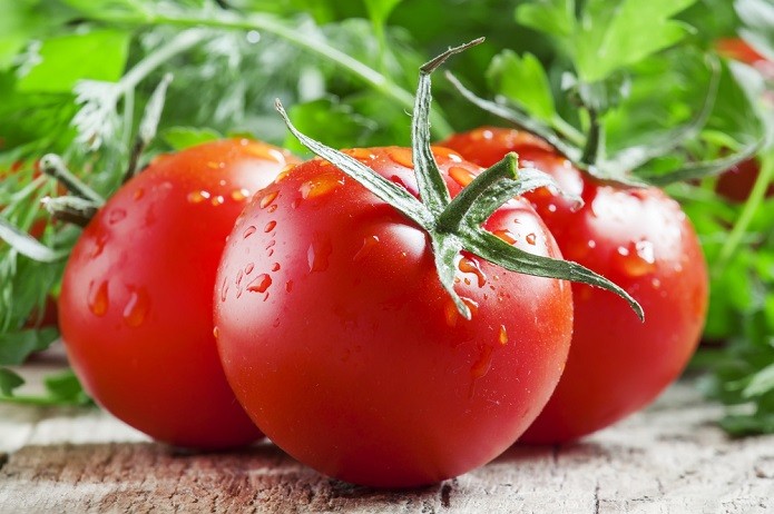 adivinhas-infantil-respostas-fruta-tomate