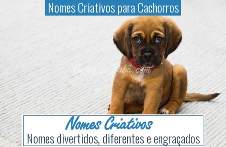 Nomes Criativos para Cachorros - Nomes Criativos