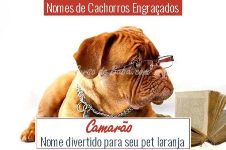 Nomes de Cachorros EngraÃ§ados - CamarÃ£o
