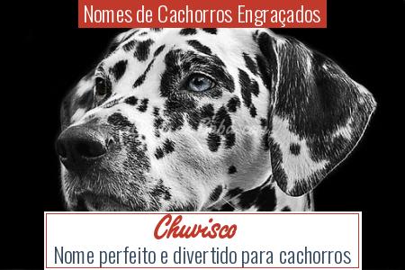 Nomes de Cachorros EngraÃ§ados - Chuvisco