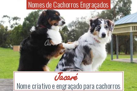 Nomes de Cachorros EngraÃ§ados - JacarÃ©