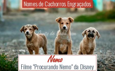 Nomes de Cachorros EngraÃ§ados - Nemo