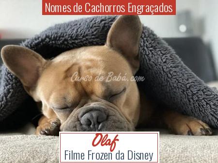 Nomes de Cachorros EngraÃ§ados - Olaf