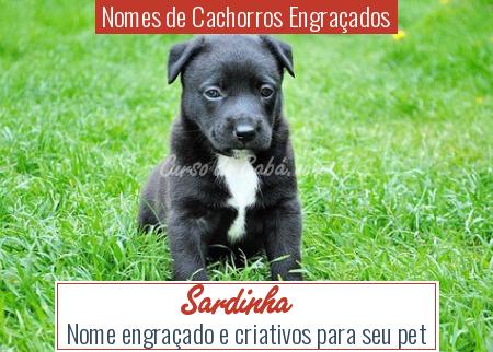 Nomes de Cachorros EngraÃ§ados - Sardinha