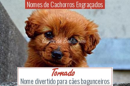 Nomes de Cachorros EngraÃ§ados - Tornado