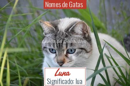 Nomes de Gatas  - Luna