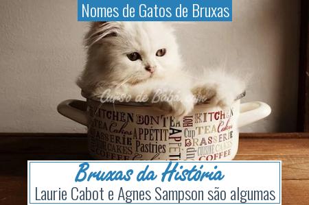 Nomes de Gatos de Bruxas - Bruxas da HistÃÂ³ria