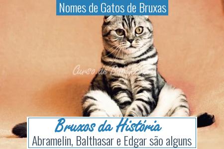 Nomes de Gatos de Bruxas - Bruxos da HistÃÂ³ria