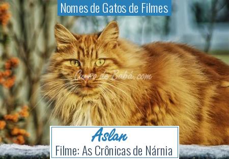 Nomes de Gatos de Filmes - Aslan
