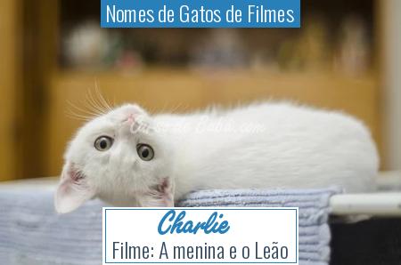 Nomes de Gatos de Filmes - Charlie