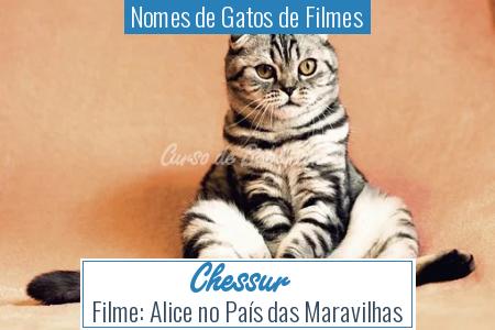 Nomes de Gatos de Filmes - Chessur