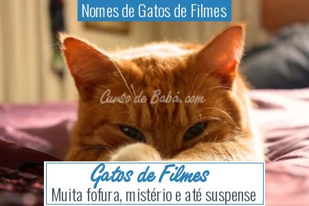 Nomes de Gatos de Filmes - Gatos de Filmes