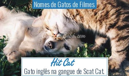Nomes de Gatos de Filmes - Hit Cat