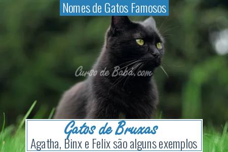Nomes de Gatos Famosos - Gatos de Bruxas
