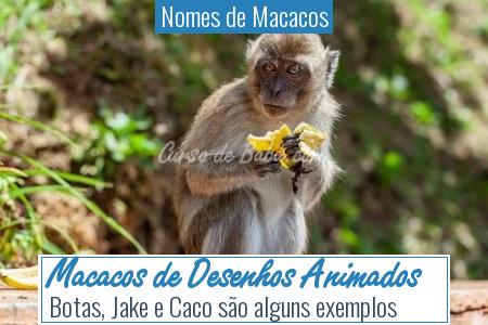 Nomes de Macacos - Macacos de Desenhos Animados