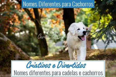 Nomes Diferentes para Cachorros - Criativos e Divertidos