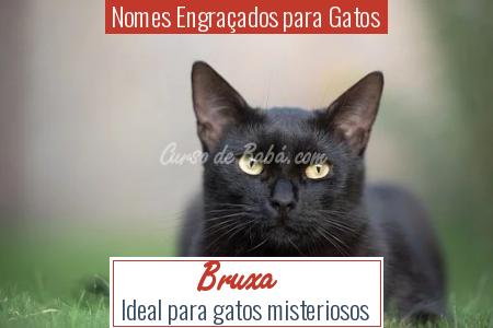 Nomes EngraÃÂ§ados para Gatos - Bruxa