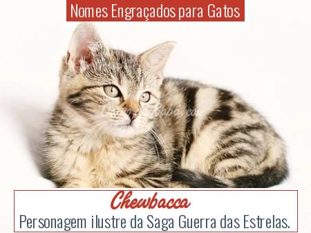 Nomes EngraÃÂ§ados para Gatos - Chewbacca