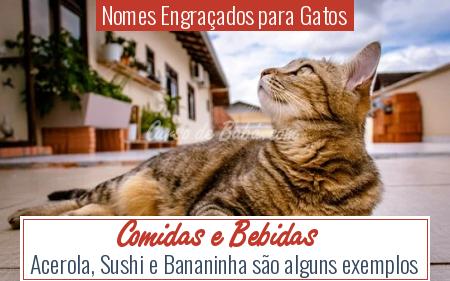 Nomes EngraÃÂ§ados para Gatos - Comidas e Bebidas
