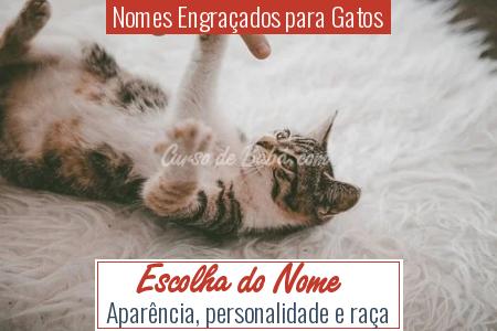 Nomes EngraÃÂ§ados para Gatos - Escolha do Nome