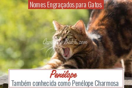 Nomes EngraÃÂ§ados para Gatos - PenÃÂ©lope