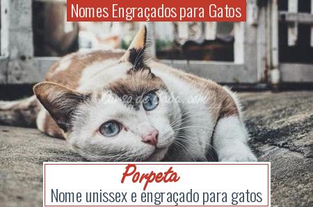 Nomes EngraÃÂ§ados para Gatos - Porpeta